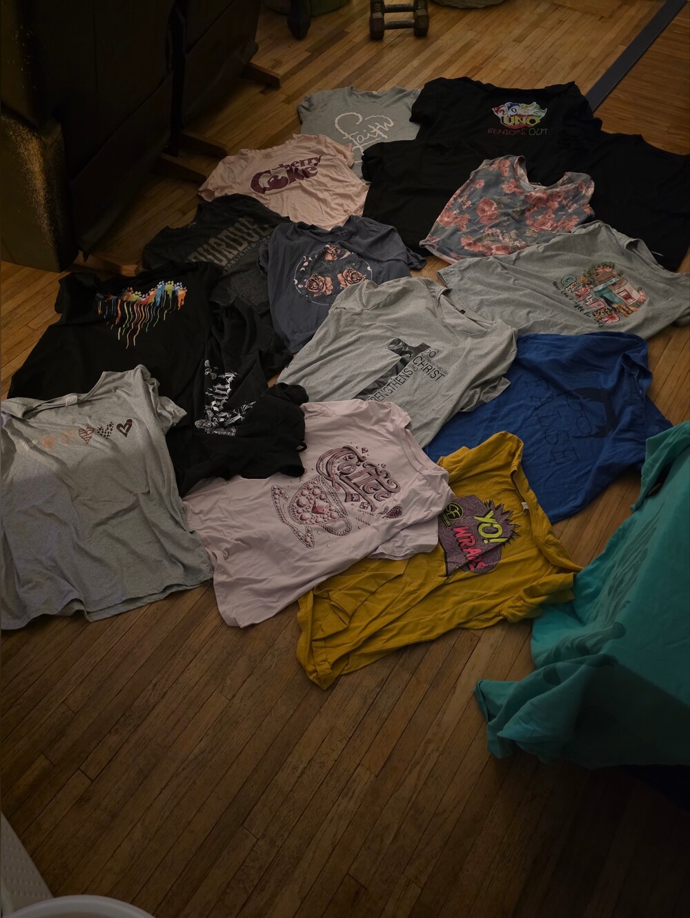 17 Assorted Womens/Juniors Graphic T-Shirt Pack - Multicolor - Sizes L-2XL